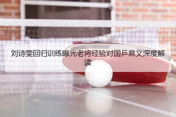 刘诗雯回归训练曝光老将经验对国乒意义深度解读