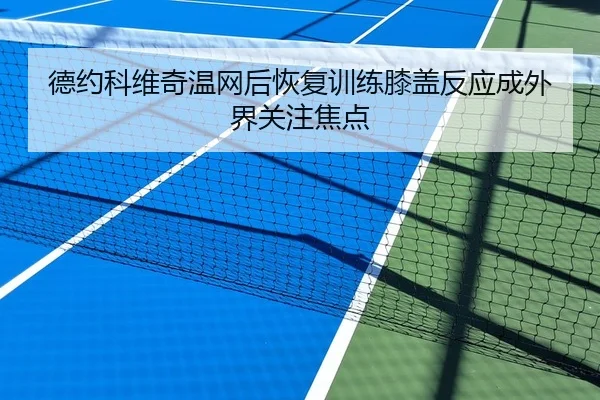 德约科维奇温网后恢复训练膝盖反应成外界关注焦点