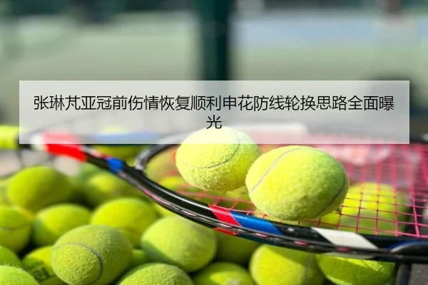张琳芃亚冠前伤情恢复顺利申花防线轮换思路全面曝光